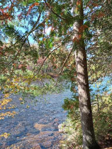 Grande-jetée Forêt Ouareau - Thumbnail
