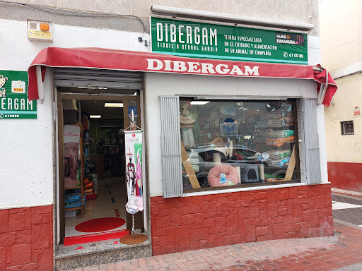 Dibergam
