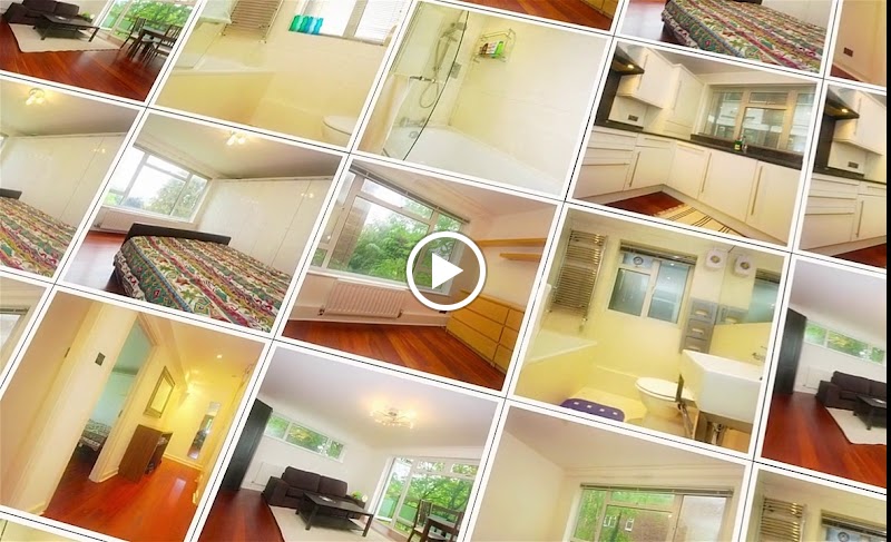 Robert Lehrer Properties photo 2