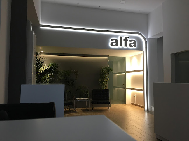 Comentarii opinii despre Alfa auto rent a car