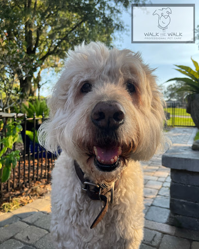 Walk the Walk Professional Pet Care - Thumbnail