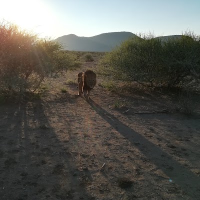 Photos of Mooifontein
