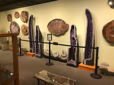 Zuhl Museum: Home of the Zuhl Collection