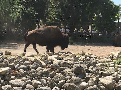 Great Bear Wilderness