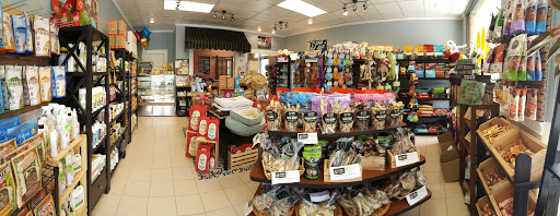 Golden Paws Boutique & Grooming Salon
