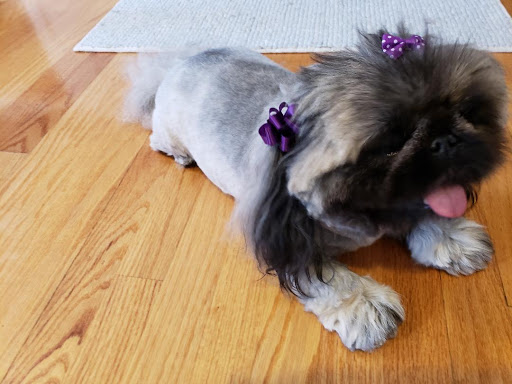 Nonnie's Pet Grooming - Thumbnail