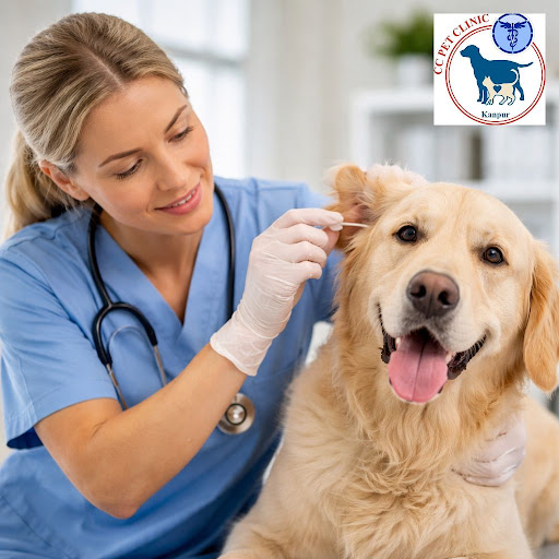Healthy ears, happy pets! At Caring Claws Pet Clinic and Surgical Center in Shyam Nagar, Kanpur,…
