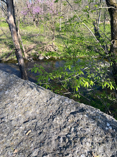 Seneca Park Loop - Visual