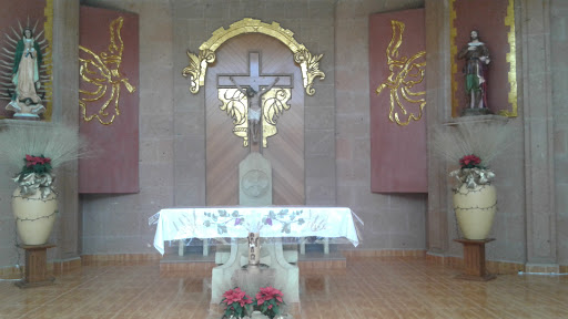 Lyncott Aguascalientes - Visual