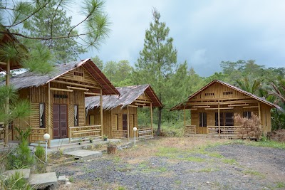 photo of Wisata Hutan Pinus Dan Pemandian Air Panas