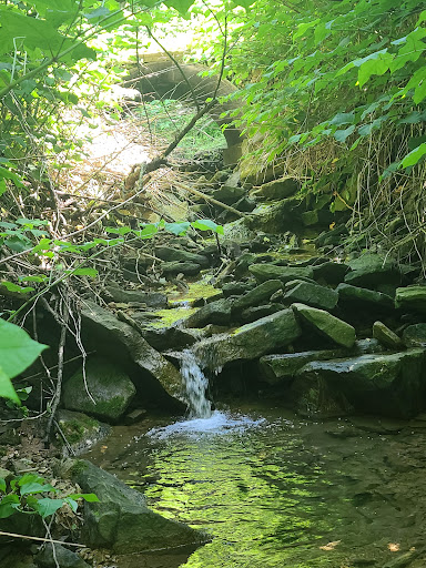 Stackhouse Park - Visual