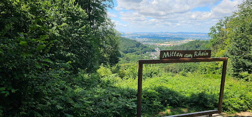 Bildrahmen "Mitten am Rhein" Bendorf - Thumbnail