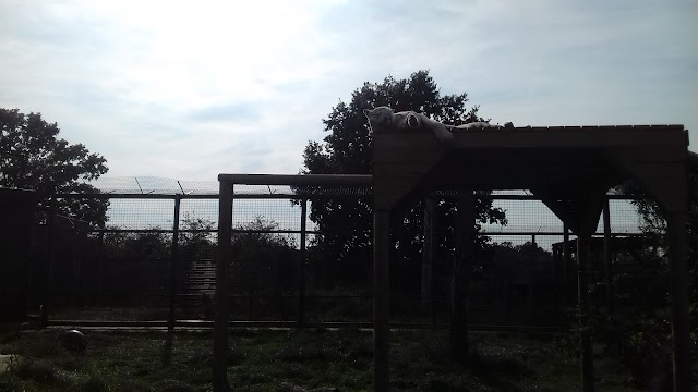 Wildlife Heritage Foundation