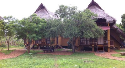 Photos of Cadjan Wild