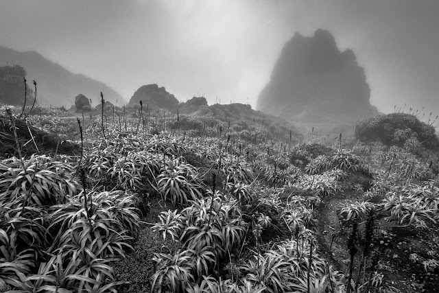 La Soufriere Volcano