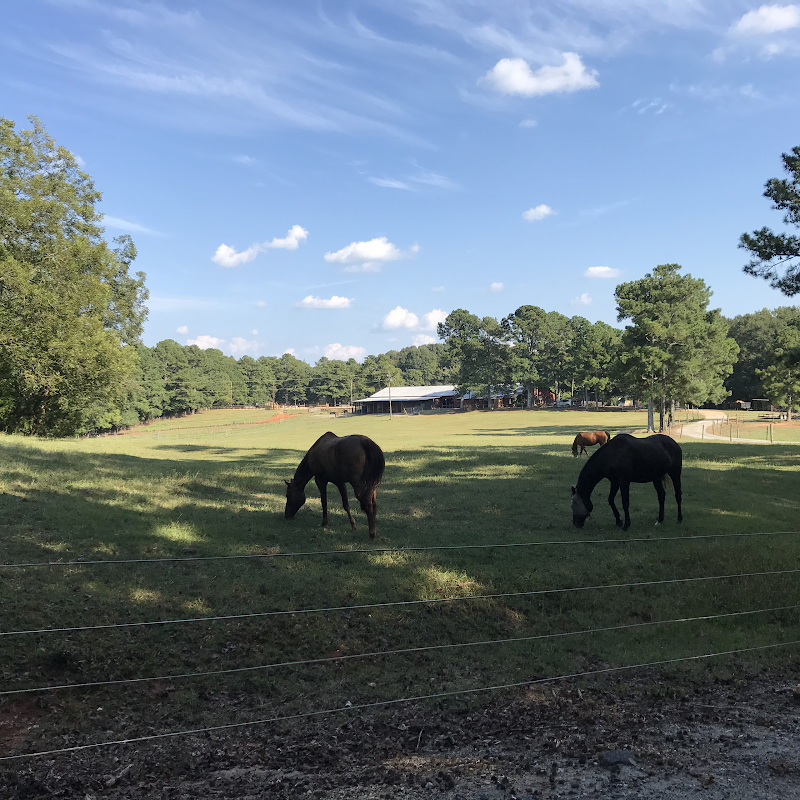 Seclusion Farms photo
