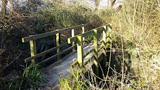 Nine Wells Local Nature Reserve cambridge