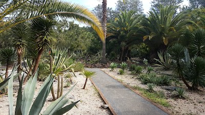 Photos of Botanical Garden experiments