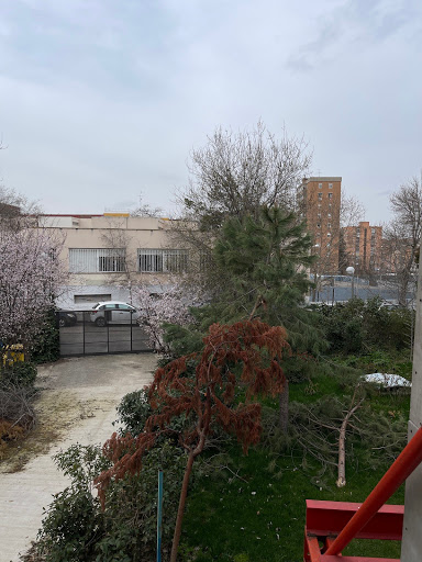 School of Design in Madrid - Thumbnail