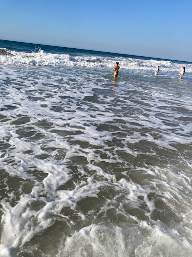 beach rabbit - Visual