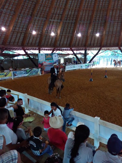 Photos of Polideportivo La Rosita