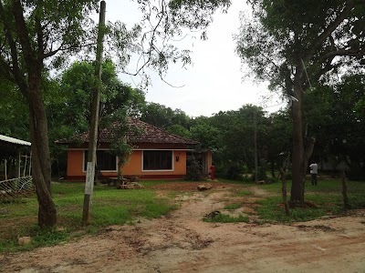 Photos of Mirisawetiya Stupa
