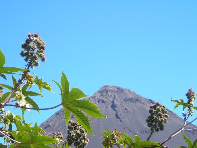 Photos of Pico do Fogo