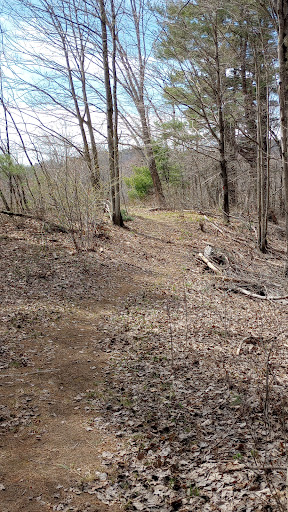 Whitney Brook Trail