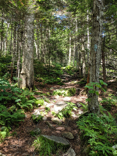 The Canty Trail - Thumbnail
