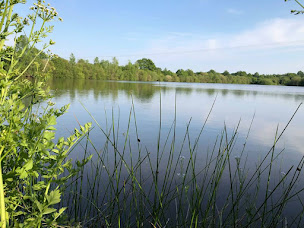 Photo n°22 de Camping Au Pré de l'Étang à Sainte-Foy (Restaurant)