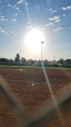 Field 8 - Visual