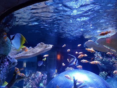 SEA LIFE at Mall of America