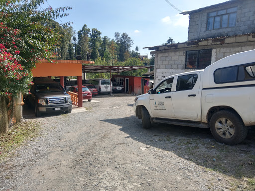 CARFERSH diagnóstico automotriz