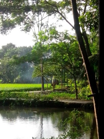 Photos of Sorikol Bazar, Gouronodi, Barisal