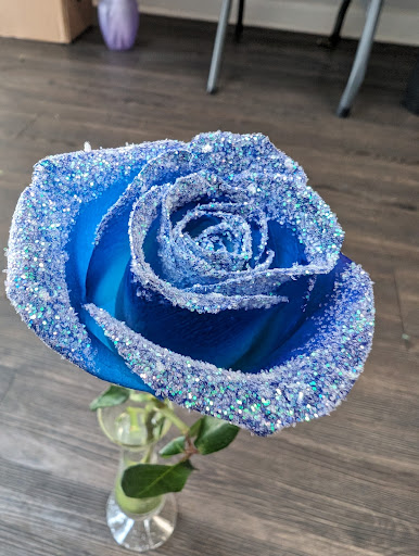 Orange Park Florist and Gifts - Thumbnail