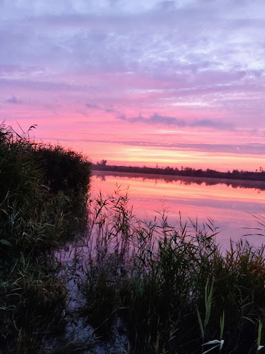 Peene Torfkuhlen - Thumbnail