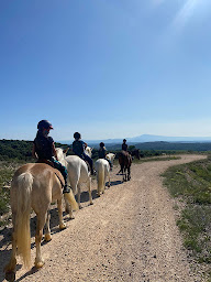 Photo n°1 de Equit'Accompagne - Centre Equestre de Lirac à Lirac (Club de sport)