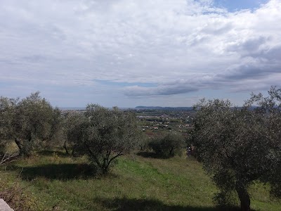 Photos of Chiesa di San Fortunato