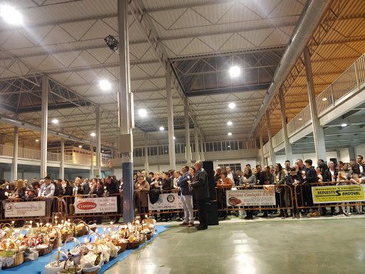 Pabellón de Ferias y Muestras de Tarancón