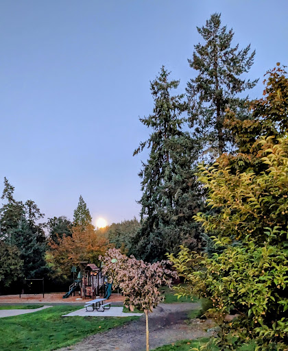 Jesse Maine Memorial Park - Thumbnail