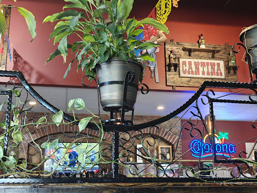 Don Rigo Mexican Bar & Grill - United States