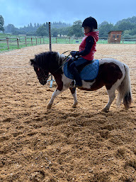 Photo n°27 de Ecuries de Lintignat à Peyrat-le-Château (Écurie)