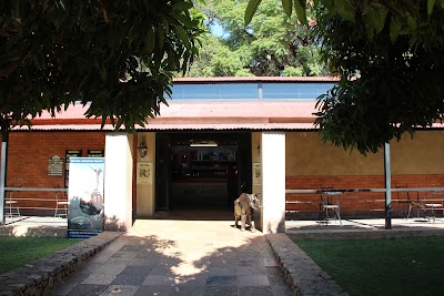 Photos of Bush Babies Monkey Sanctuary