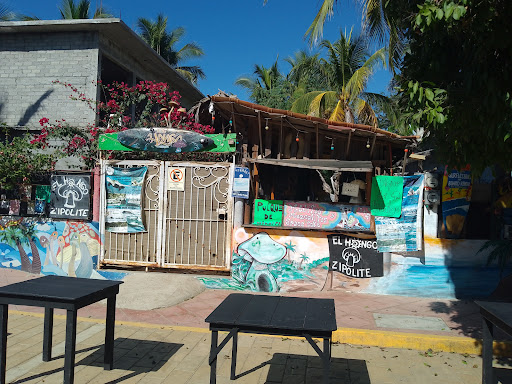 El Hongo - Visual