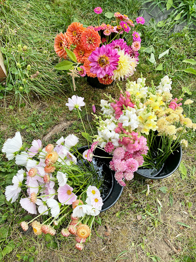 Nowadays Flowers