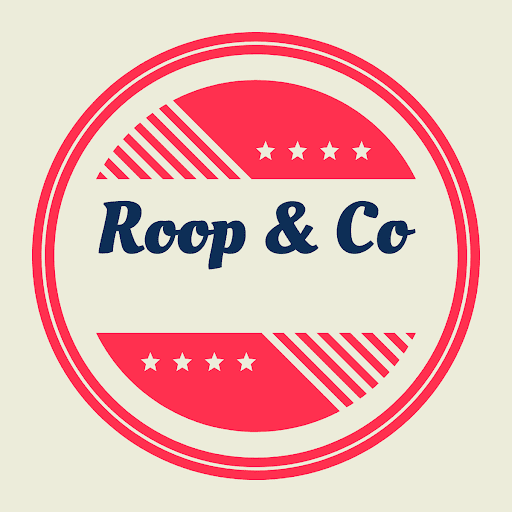 Roop Electronics - Visual