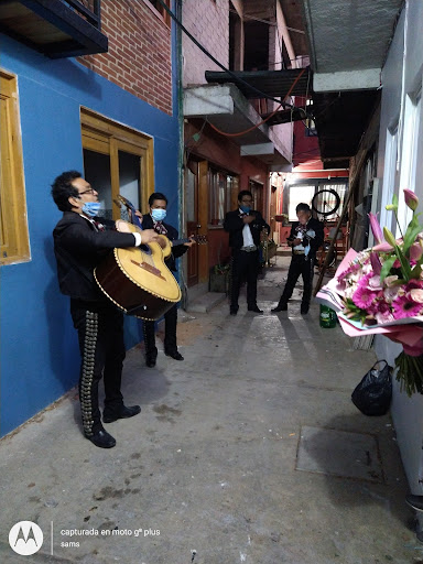 MARIACHI VIVA MÉXICO DE OAXACA