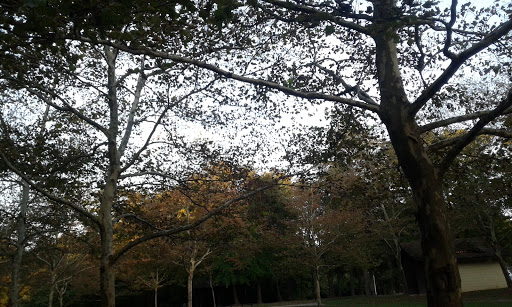 Joseph D. Reading Park - Thumbnail