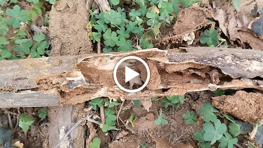 Gallery image 14