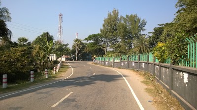 Photos of Mini Park